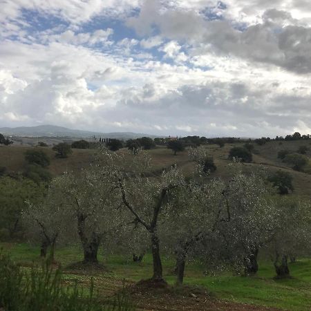Podere Pini Magliano in Toscana Exteriér fotografie