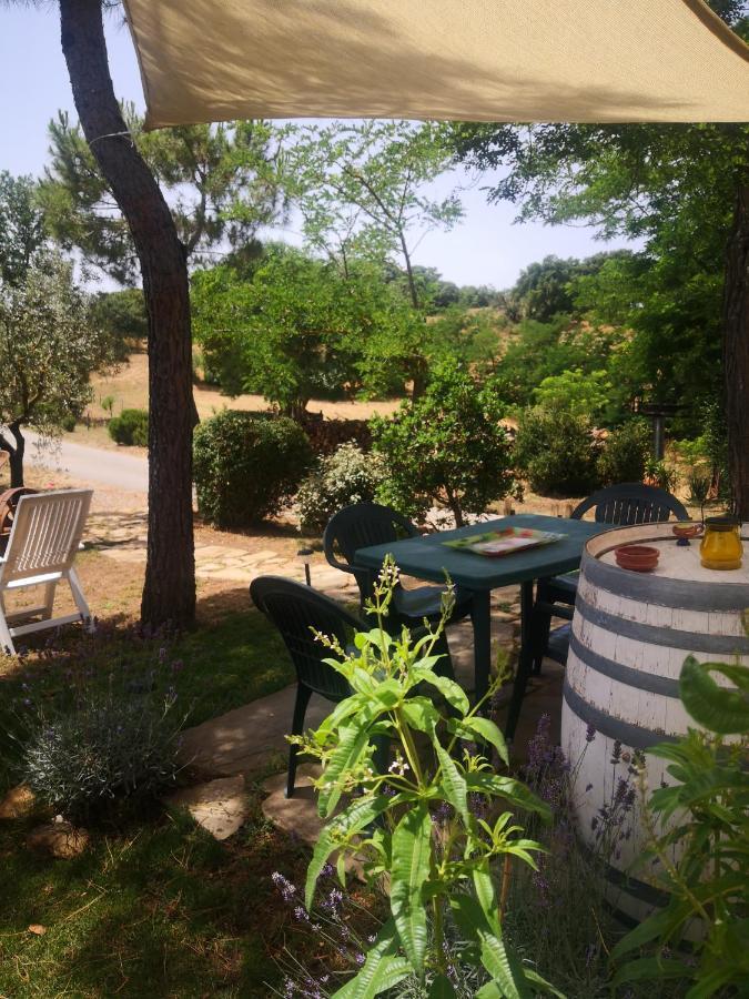 Podere Pini Magliano in Toscana Exteriér fotografie