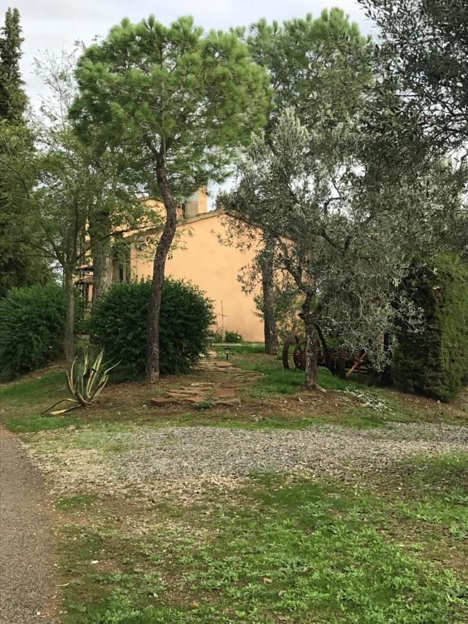 Podere Pini Magliano in Toscana Exteriér fotografie