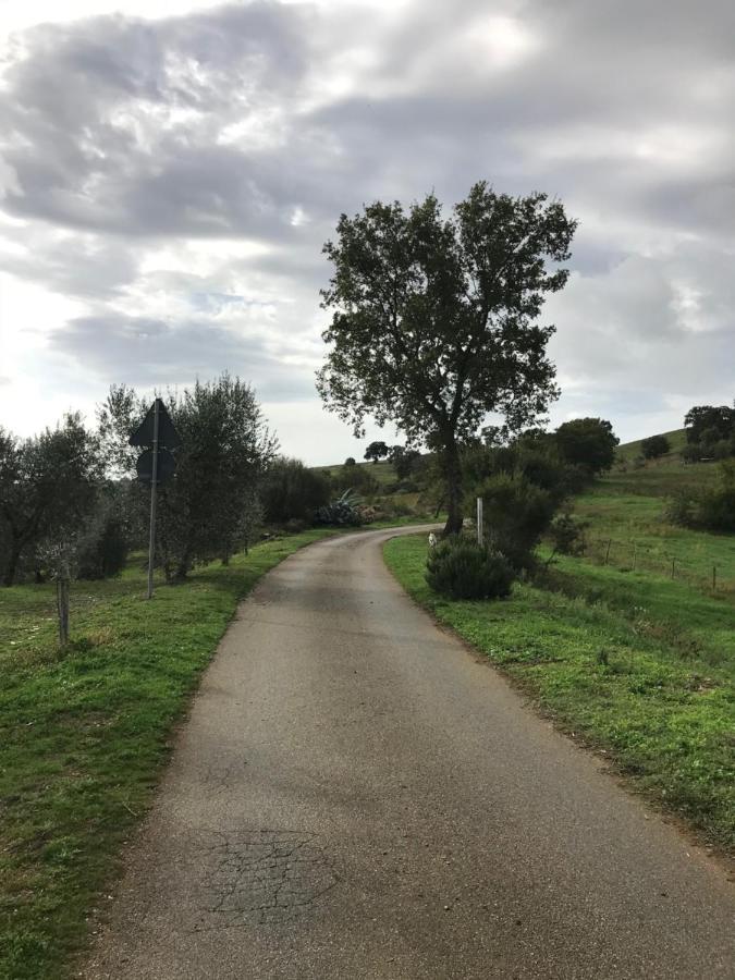 Podere Pini Magliano in Toscana Exteriér fotografie