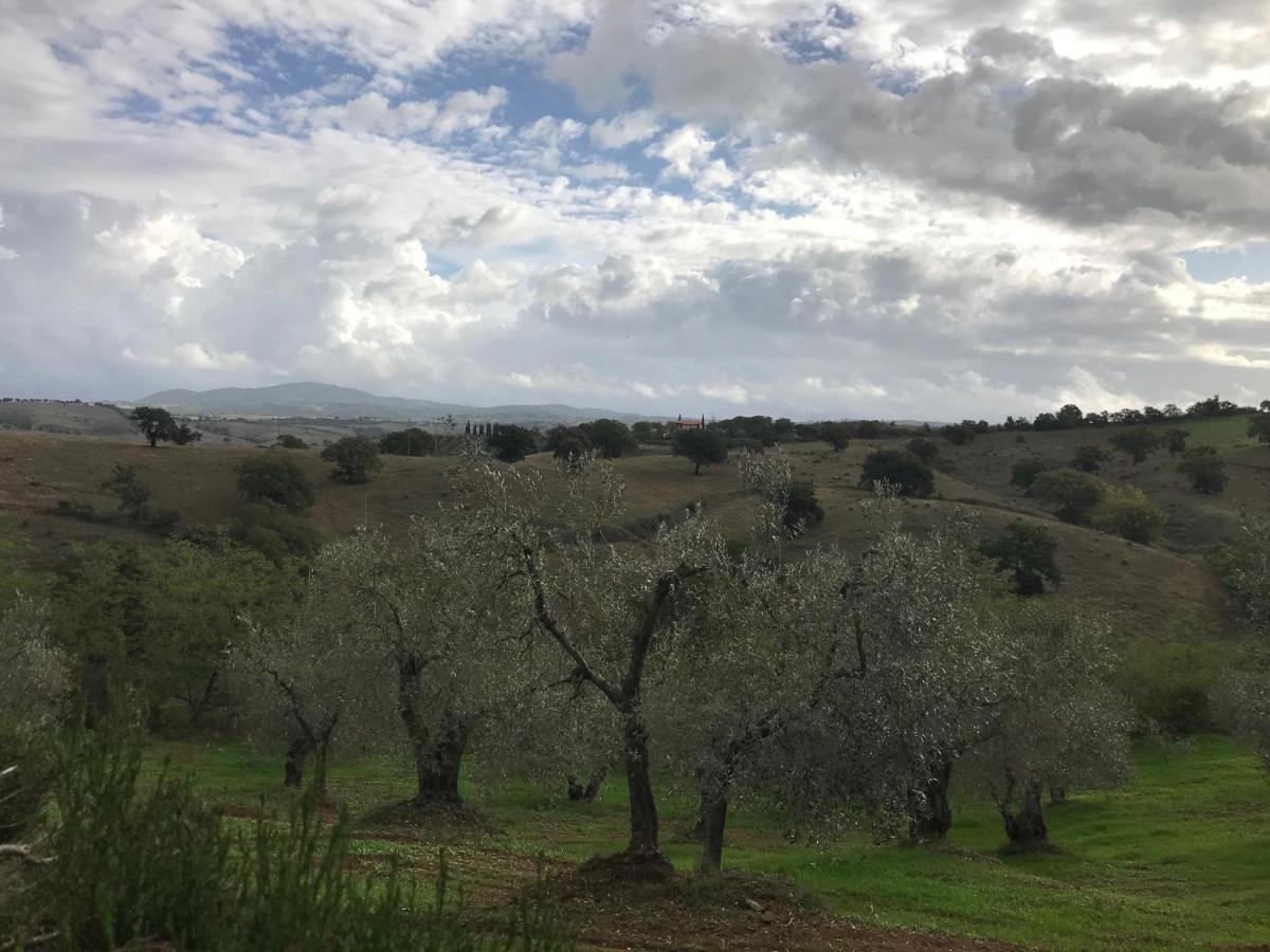 Podere Pini Magliano in Toscana Exteriér fotografie